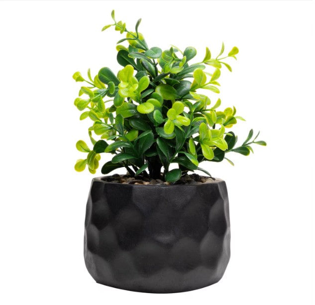 Cachepot de Cimento com Planta Artificial Prisma Preto 10cm x 29cm Wolff