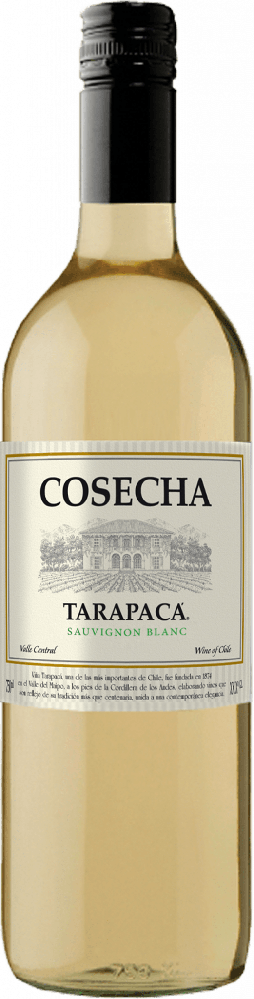 Vinho Chileno Cosecha Tarapacá Sauvignon Blanc 2023 750ML